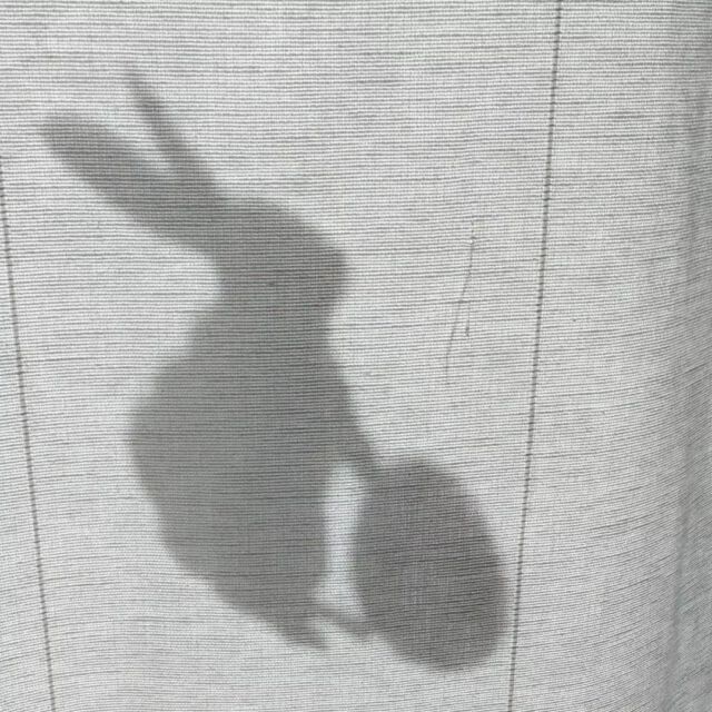 Osterkalender | Um die lange Zeit zwischen Aschermittwoch und Ostersonntag für die Kids zu veranschaulichen, haben wir den Osterkalender eingeführt. Quasi der Adventskalender für Ostern 🐰 
Und für euch habe ich den Ausmalkalender jetzt auch digitalisiert - auf dem Blog könnt ihr ihn runterladen ⬇️

Hattet ihr schonmal einen Osterkalender?
•
•
•
#osterkalender #wartenaufostern #fastenzeitkalender #fastenzeit2022 #ideenstrudelblog #lebenmitkindern #zeitverständnis #wielangenoch #ausmalkalender #ostereier